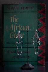 Zebra Earrings