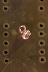 Segmented Stigma Charm