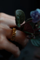 Window Box Ring