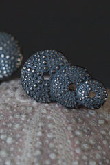 My Urchin Earrings feature a trio of tapering urchin motifs that flatter the ear