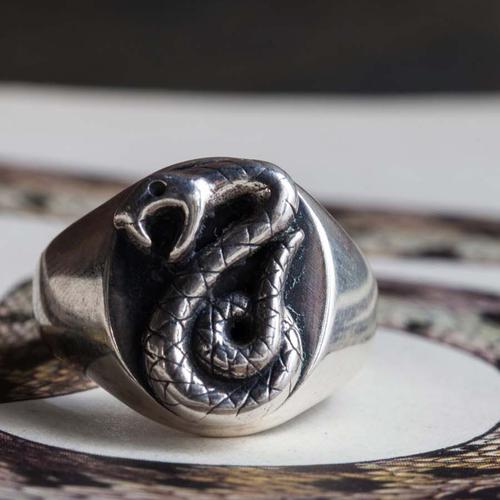 Discover the Story of the Harry Potter Slytherin Ring