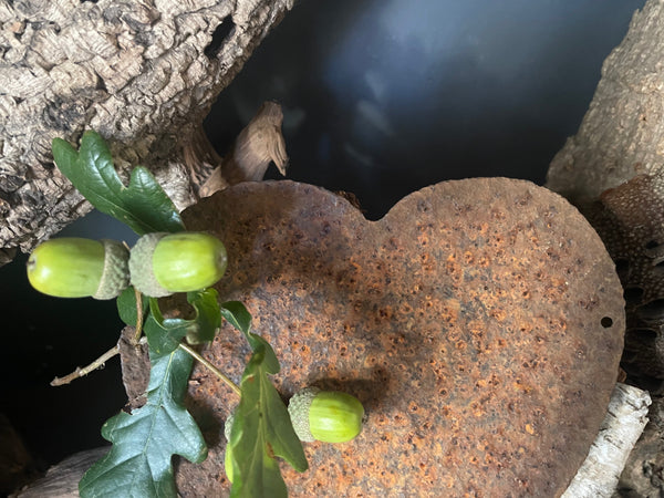 Catherine Hills designs a Oak Heart vessel to contain ashes of a loved one 