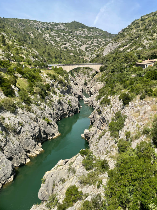 Ten Places to visit in Montpellier France Catherine Hills Jewellery 2025