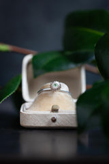 Silver Alexandrite Satsuma Ring - Silver and Alexandrite - Current Design - Size N