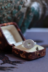 Lizard Eye Ring