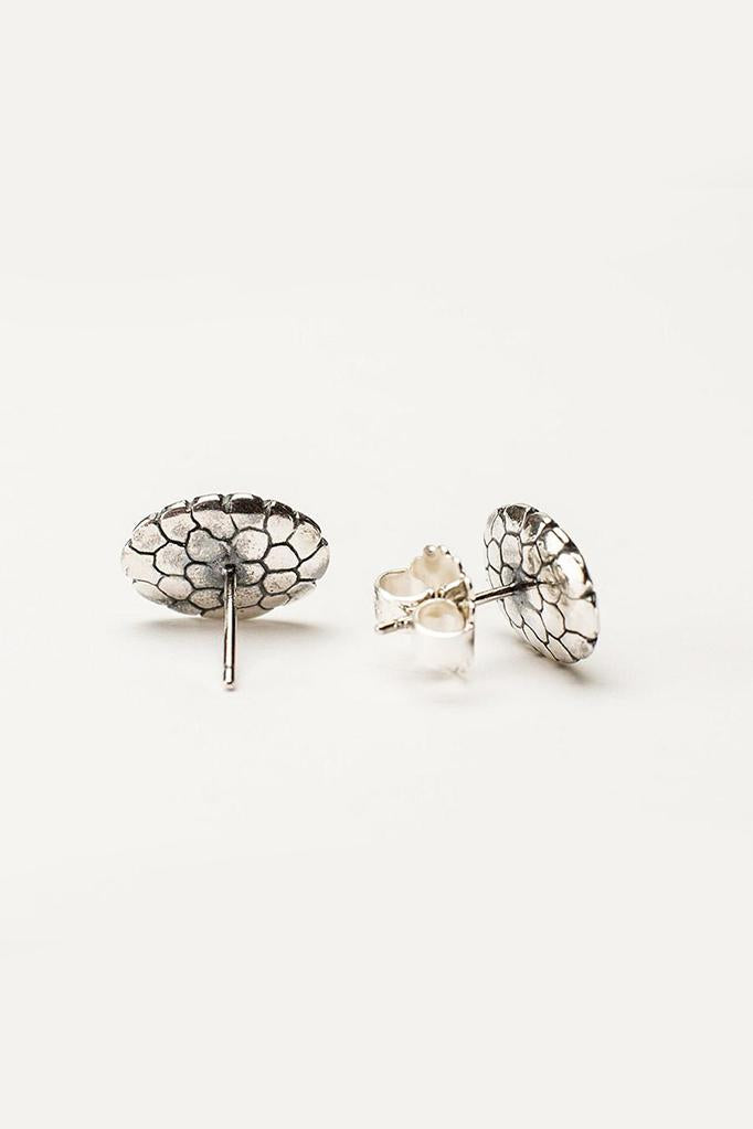 Turtle Earrings