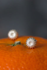 My Satsuma Studs in silver are decorated with subtle stripes that catch the light