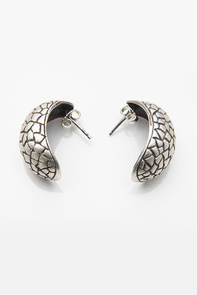 Turtle Cup Earrings