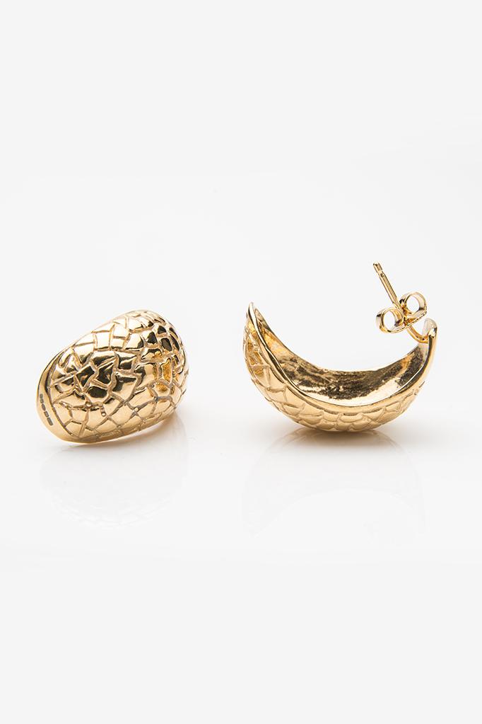 Turtle Cup Earrings
