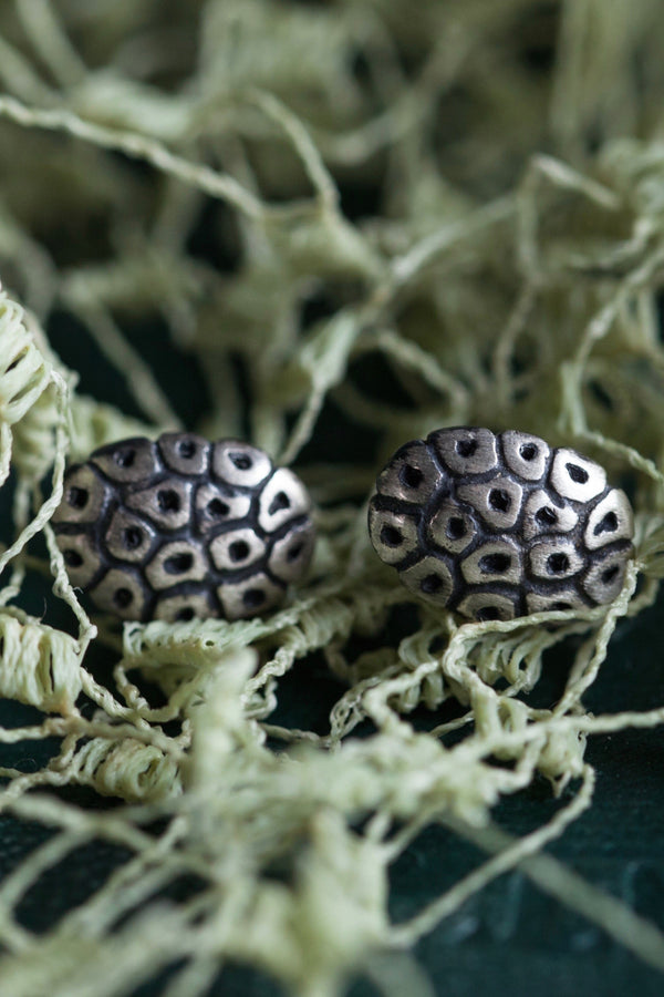 My Small Turtle Stud Earrings are inspired by the pattern of a turtle shell