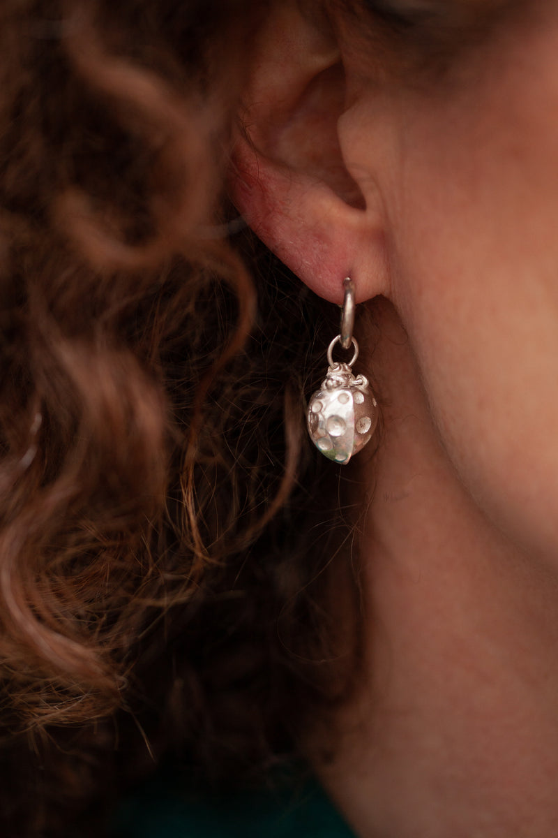 Ladybird Earrings