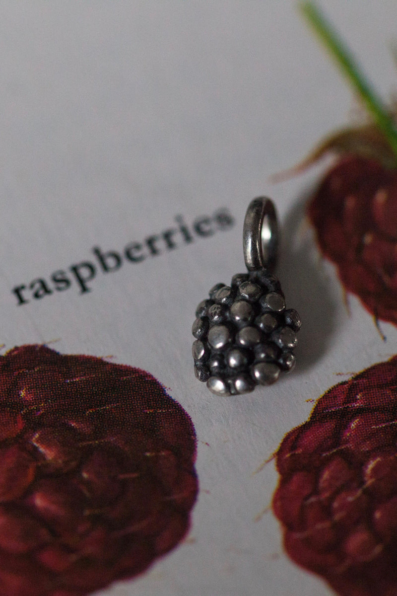 Raspberry charms decorated with the delicious bobbled texture of raspberries look almost edible